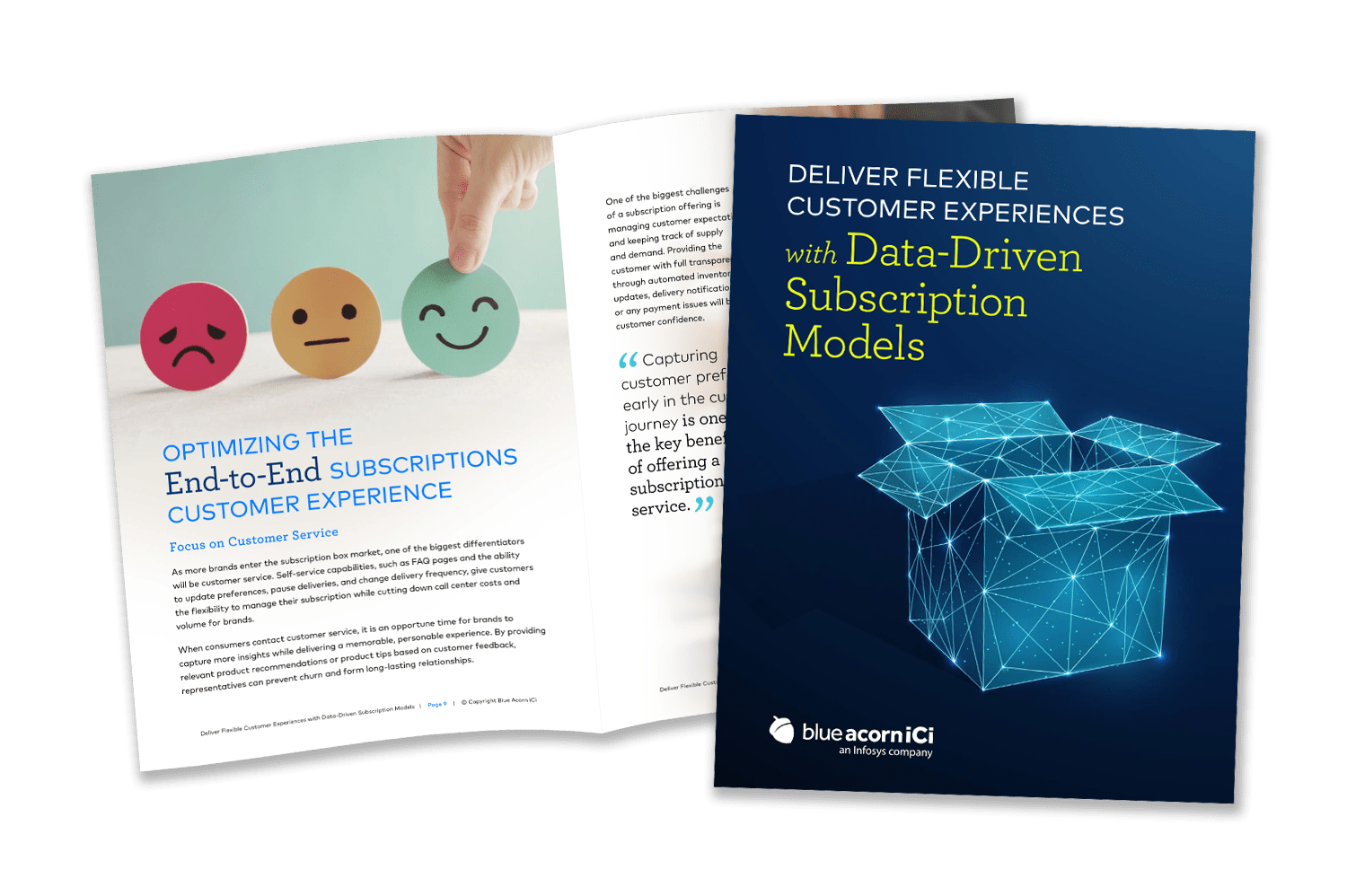 Subscription Model Report